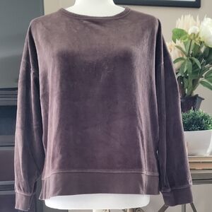 J. Crew Velour Brown Sweatshirt